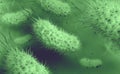 Microorganisms in aquatic environment under microscope. Probiotics. Intestinal bacteria, Gut flora
