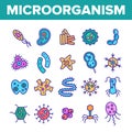 Microorganisms Cells Thin Line Icons Vector Set