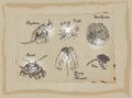 Microorganisms - An hand drawn pack. Freehand drawing. Royalty Free Stock Photo