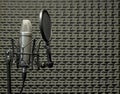 Microphone in Acoustic Booth Royalty Free Stock Photo