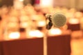 Microphone in front of meeting room empty chairs before the conference Royalty Free Stock Photo