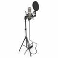 Microphone with full height microphone stand isolated on white. 3D illustration Royalty Free Stock Photo