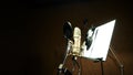Microphone with shockmount and pop filter Royalty Free Stock Photo