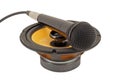 Microphone on the speaker. Royalty Free Stock Photo