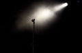 microphone in stage lights during concert - summer music festival