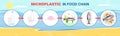 Microplastic in food chain vector infographic. Plastic waste life cycle diagram. Ocean, sea water, fish, food pollution. Royalty Free Stock Photo