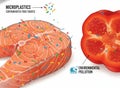 Microplastics Contaminated Food Source Infographic Royalty Free Stock Photo