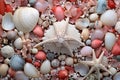 microplastics in contrast with pristine marine shells on a beach