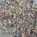 Microplastics found on the shore of a beach in Lanzarote. Sea pollution by plastic Royalty Free Stock Photo