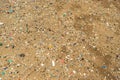 Microplastics on Sand Beach