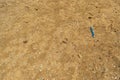 Microplastics on Sand Beach