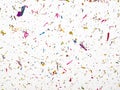 Microplastics in water - polluted water Royalty Free Stock Photo