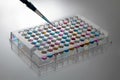 Microplate with a pipette Royalty Free Stock Photo