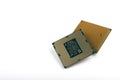 The CPU for the computer. processor close-up Royalty Free Stock Photo