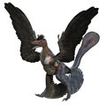 Microraptor dinosaur 3D isolated
