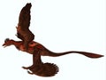 Microraptor Side Profile Royalty Free Stock Photo