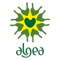 Microscobic Algea Icon and Logo Design Royalty Free Stock Photo