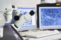 Microscope Royalty Free Stock Photo