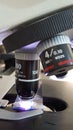 Microscope analysis under 100 x inmersion objetive Royalty Free Stock Photo