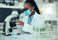 Microscope, black woman and laboratory plant, science study and analysis of natural pharmaceutical, drugs or