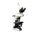 Microscope for blood and semen analysis on a white background ,Laboratory Infertility
