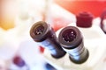 Microscope eyepieces Royalty Free Stock Photo