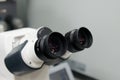 Microscope eyepieces Royalty Free Stock Photo