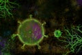 Microscope flu corona viruses on dark background Royalty Free Stock Photo