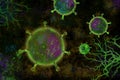 Microscope flu corona viruses on dark background Royalty Free Stock Photo