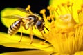 a microscope focusing on an insect on a flower