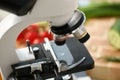 Microscope head on kitchen background Royalty Free Stock Photo