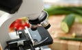 Microscope head on kitchen background Royalty Free Stock Photo