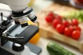 Microscope head on kitchen background Royalty Free Stock Photo