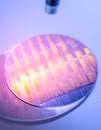 Microscope Inspecting a Silicon Semiconductor Wafer Royalty Free Stock Photo