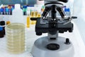 Microscope and petri dishes for analysis in the laboratory Royalty Free Stock Photo