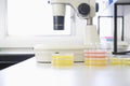 Microscope And Petri Dishes In Laboratory Royalty Free Stock Photo