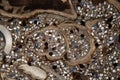 Microscope photo of a petrographic thin section of fossil fragments in a siliciclastic rock Royalty Free Stock Photo