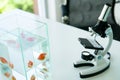 Microscope put on the table near fish glass Royalty Free Stock Photo