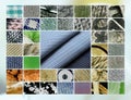 Microscope Snapshots: Various, plaid fabric