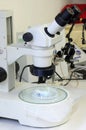 Microscopes laboratory classroom equipment education theme