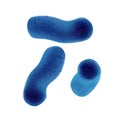 Microscopic Blue Vegetative Cell Bacterias Vector