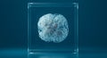 Microscopic cell cluster suspended in a glass cube Royalty Free Stock Photo