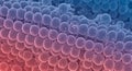 Microscopic Cells Background with Red and Blue Gradient Royalty Free Stock Photo