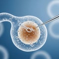 Microscopic view of in vitro fertilization with an egg cell Royalty Free Stock Photo