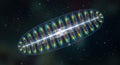 Microscopic Diatom Algae With Iridescent Rainbow Colors Under Microscope Royalty Free Stock Photo