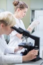 Microscopic examination of sample