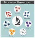 Microscopic haematology