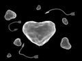 Microscopic heart