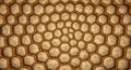 Microscopic Honeycomb Structure with Cells, Abstract Geometric Pattern Royalty Free Stock Photo