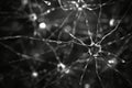 Microscopic illustration of a neuronal network - AI Generated